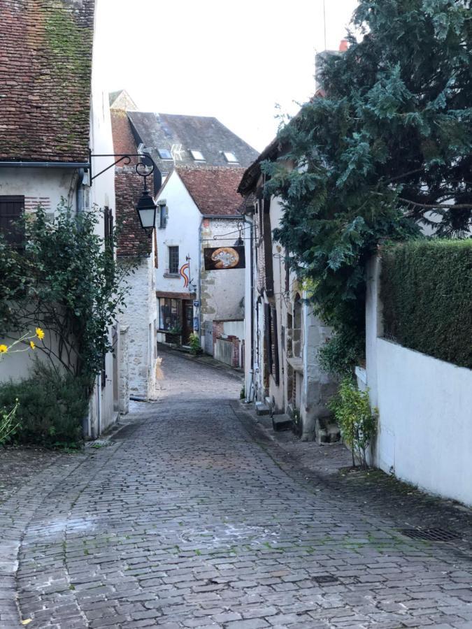 L'Echappee En Sologne Villa Mennetou-sur-Cher Kültér fotó